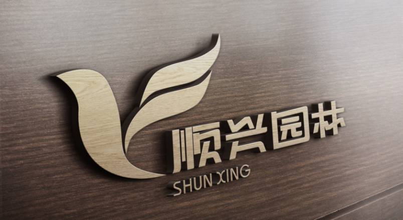 新昌县VI设计公司：城市视觉形象的专业筑梦者